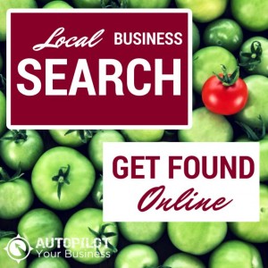 Local Business Search